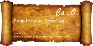 Csapliczky Orsolya névjegykártya